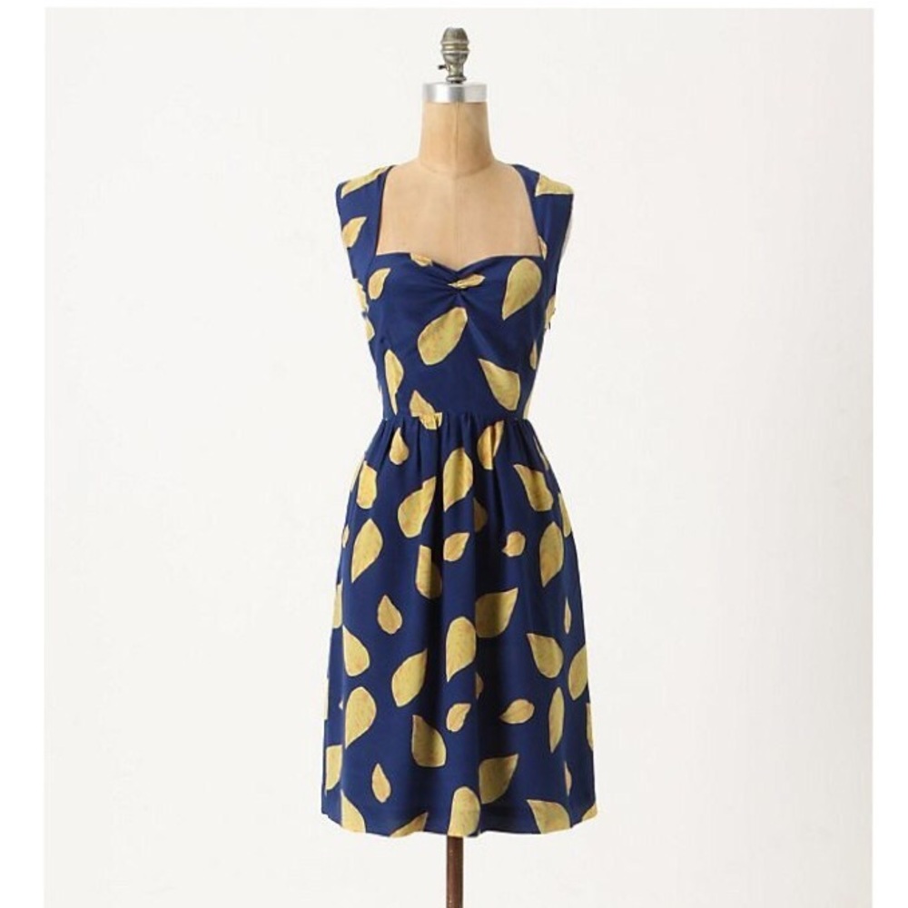 Anthropologie EUC Maple Silk Dress 2
